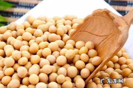 黄豆放了三年还能吃吗