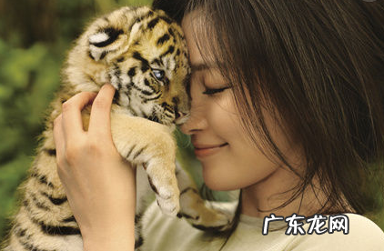 女白虎