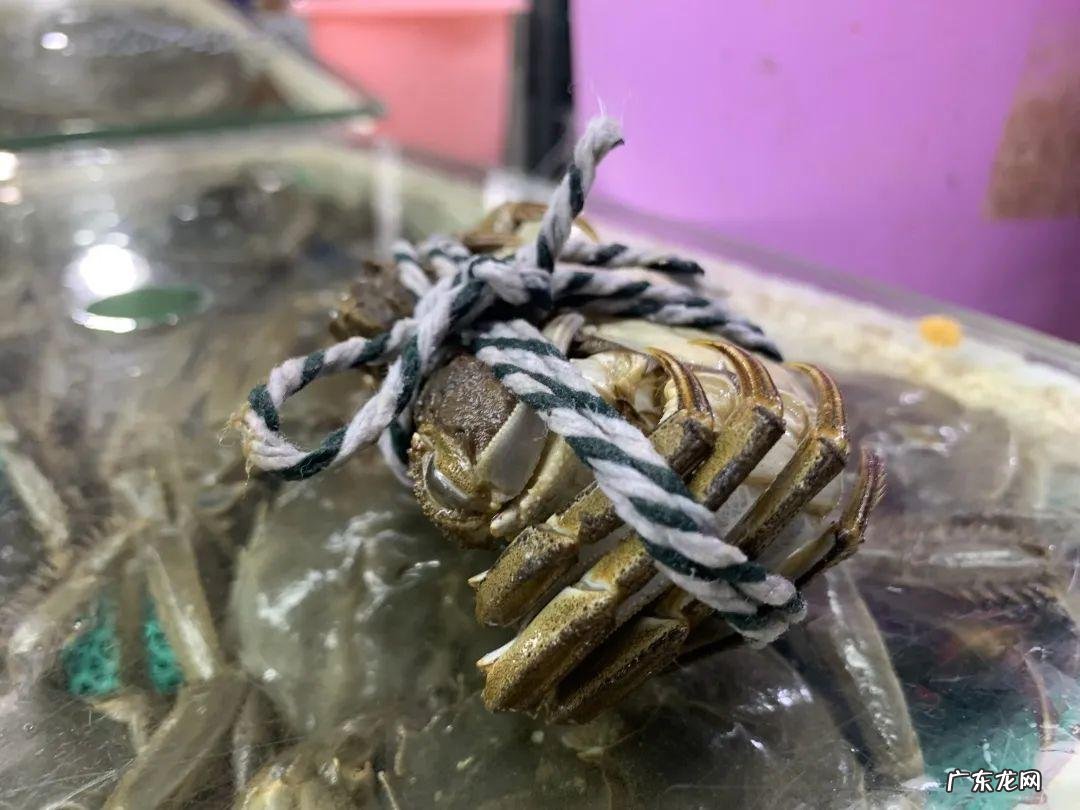 大闸蟹上市时间和结束时间