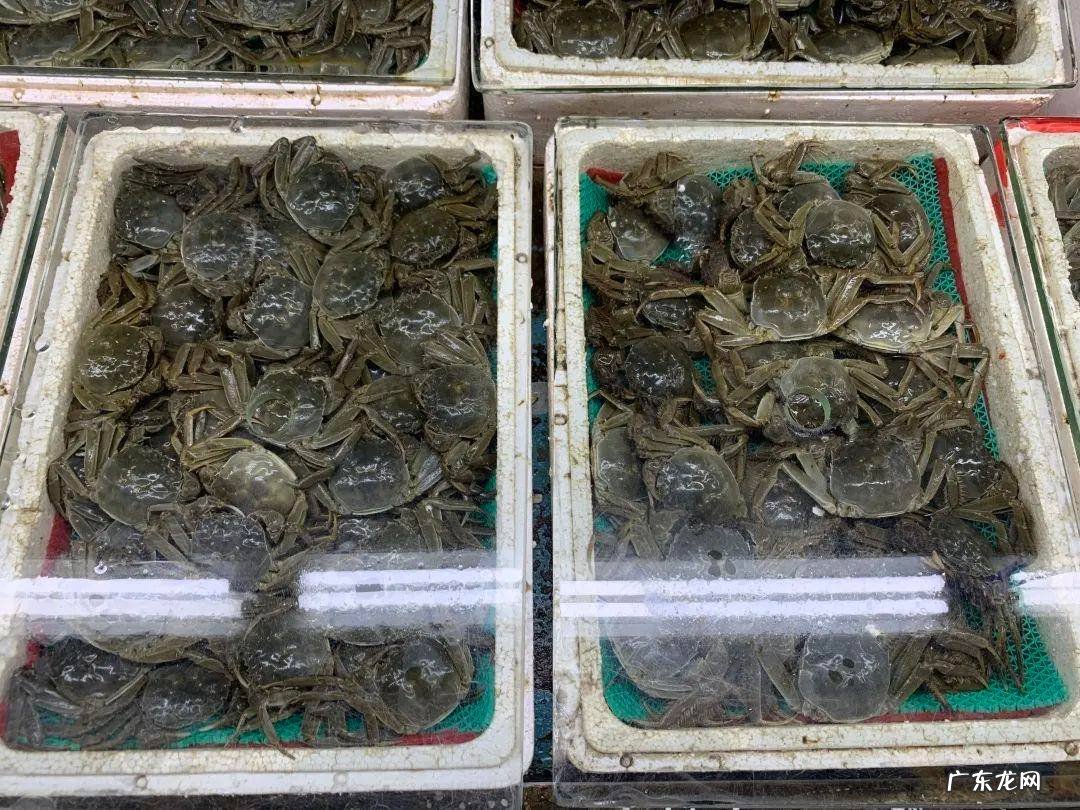 大闸蟹上市时间和结束时间