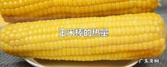玉米棒的热量