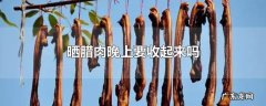 晒腊肉晚上要收起来吗