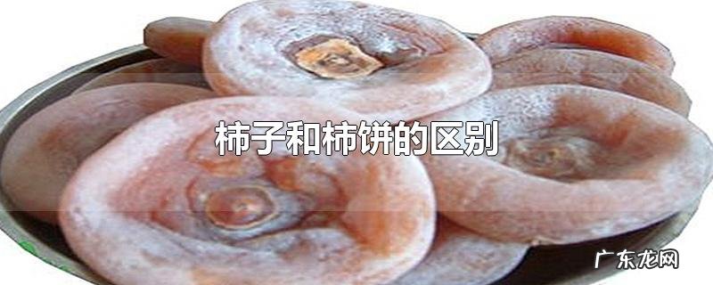 柿子和柿饼的区别
