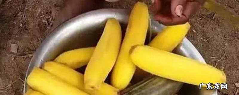 香蕉果肉变色了还能吃吗