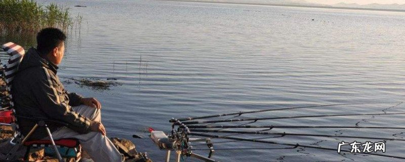 自然水域蚯蚓饵如何调钓