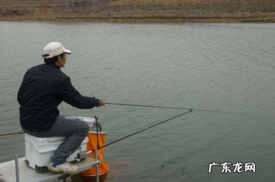 自然水域蚯蚓饵如何调钓