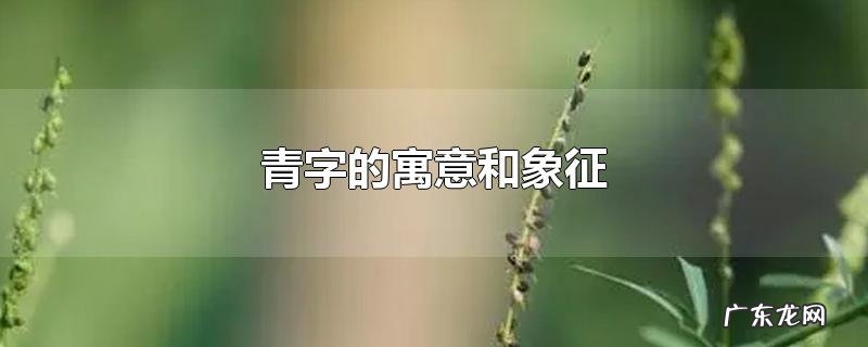 青字的寓意和象征