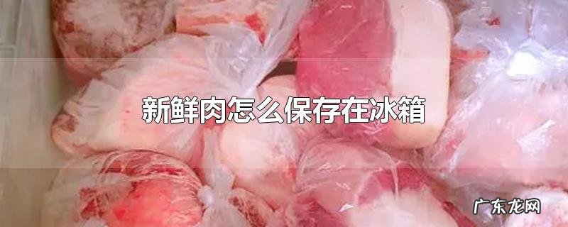 新鲜肉怎么保存在冰箱