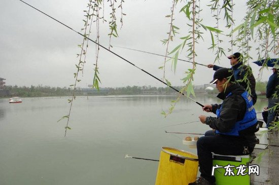 深秋怎么钓草鱼