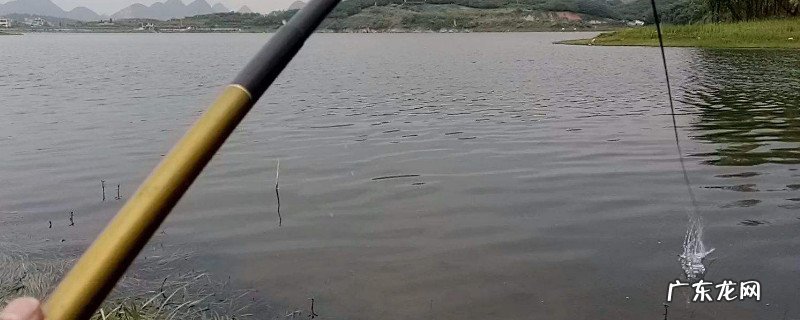 深秋怎么钓草鱼