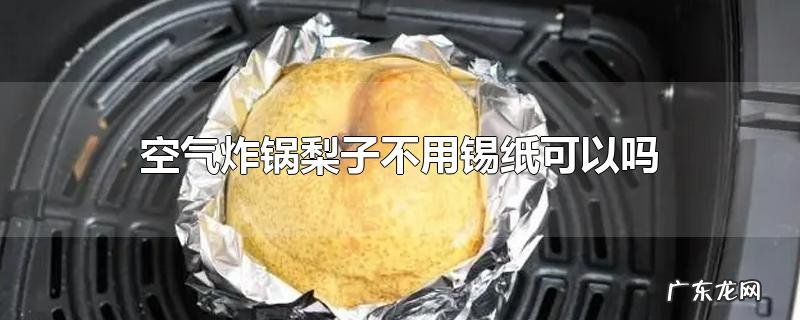 空气炸锅梨子不用锡纸可以吗