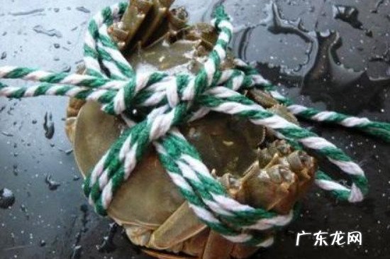丝袜钓螃蟹怎么绑