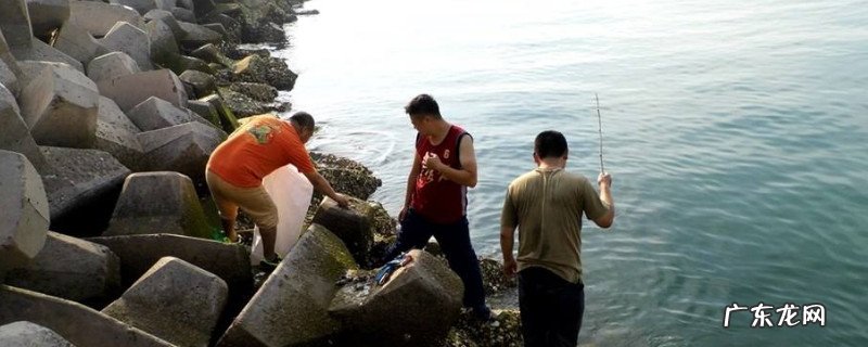 钓螃蟹用什么方法