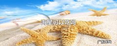 海星可以吃吗