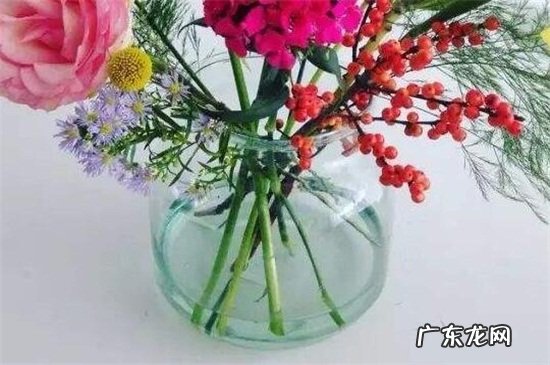 鲜花保鲜液和水的比例