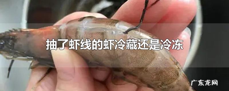 抽了虾线的虾冷藏还是冷冻