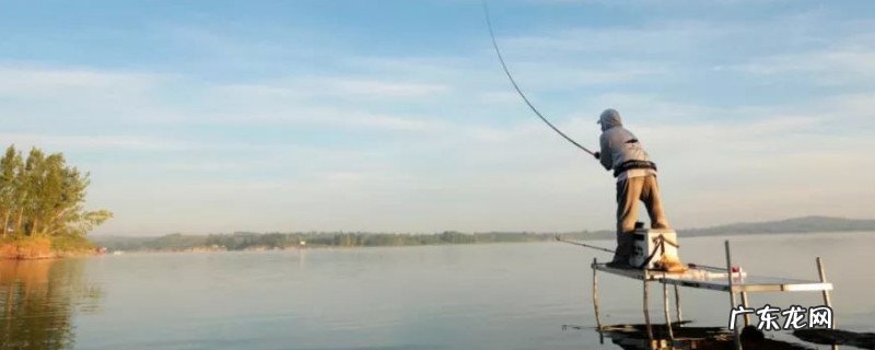 怎么钓大鱼