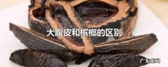 大腹皮和槟榔的区别