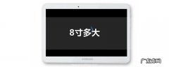 8寸多大