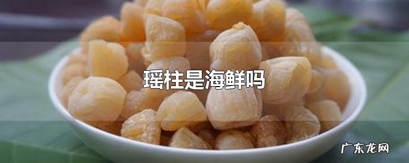 瑶柱是海鲜吗