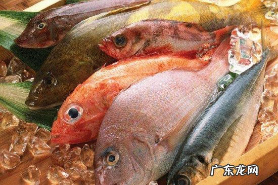 三七粉不能和什么东西一起吃