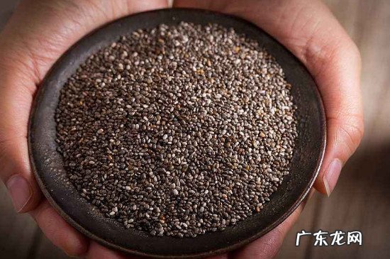 为什么说奇亚籽会致癌