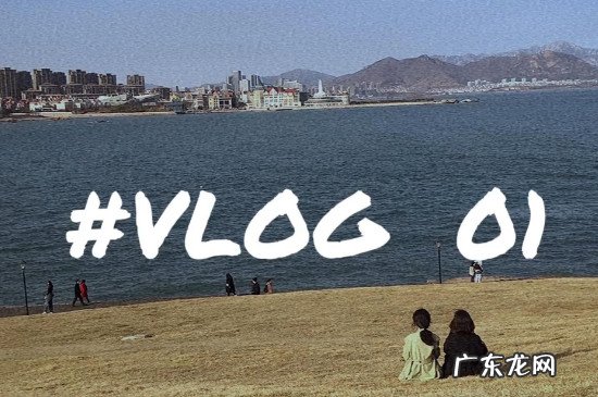 为什么vlog这么火