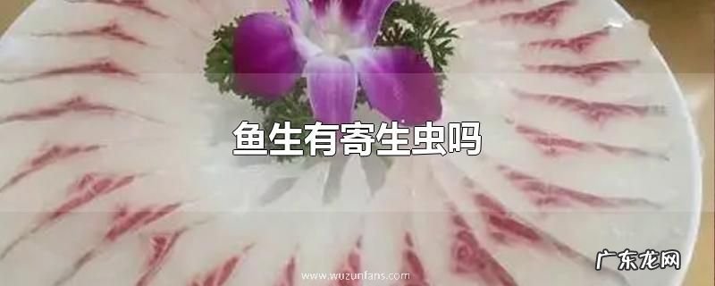 鱼生有寄生虫吗
