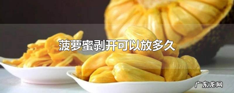 菠萝蜜剥开可以放多久