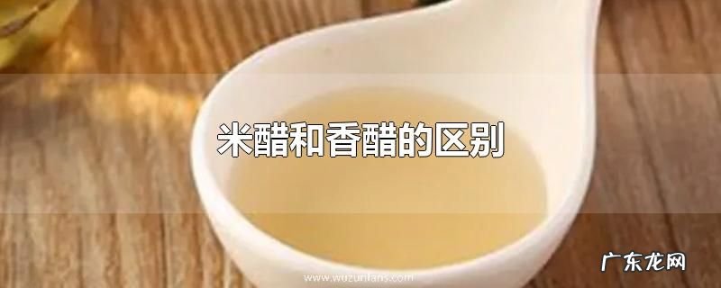 米醋和香醋的区别