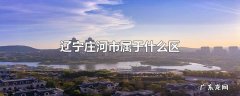 辽宁庄河市属于什么区
