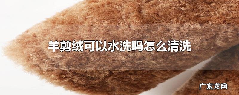 羊剪绒可以水洗吗怎么清洗