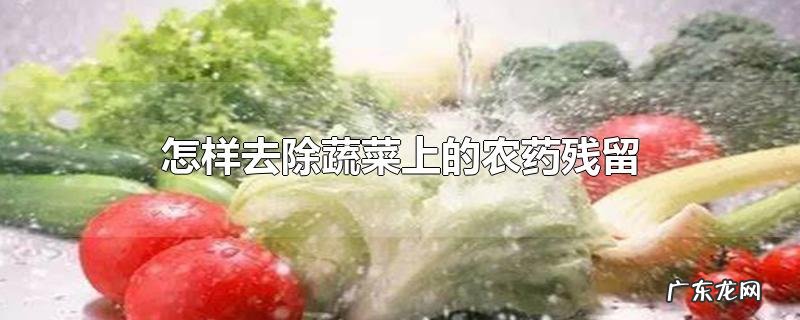 怎样去除蔬菜上的农药残留