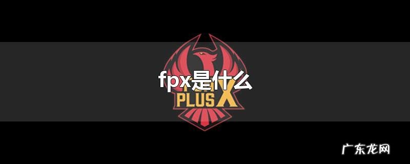 fpx是什么