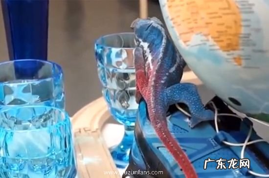 变色龙为什么会变色