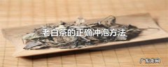老白茶的正确冲泡方法