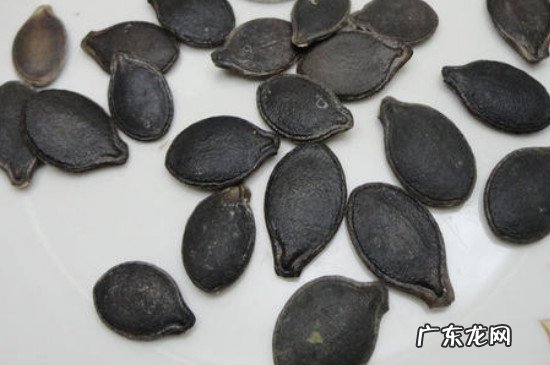 丝瓜籽能炒着吃吗