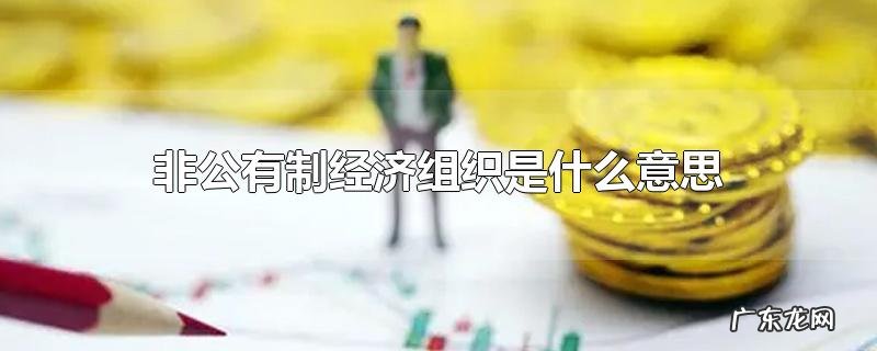 非公有制经济组织是什么意思