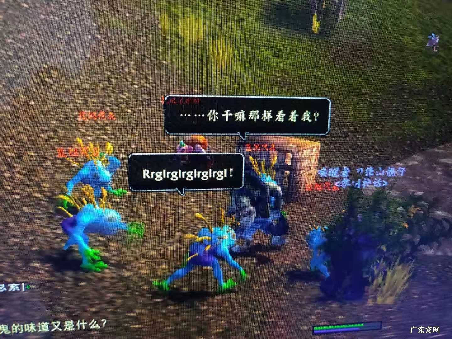 洛克莫丹飞行点在哪