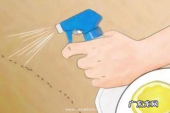 喷了杀虫剂要换被子吗