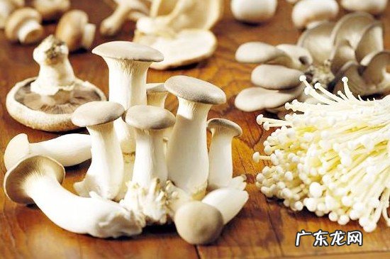 茄子与菌类能同吃吗