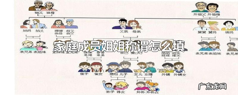 家庭成员姐姐称谓怎么填