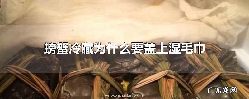 螃蟹冷藏为什么要盖上湿毛巾