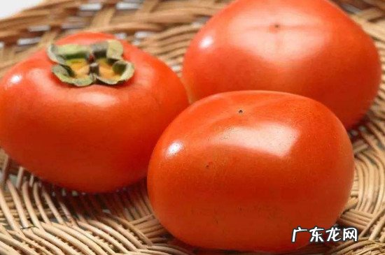 咖啡和柿子可以一起吃吗