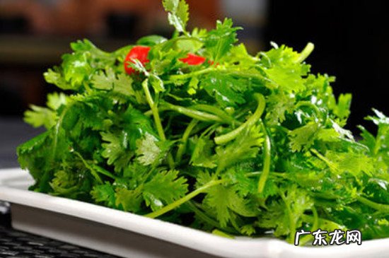 不吃香菜什么梗