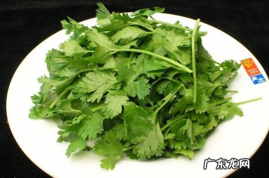 不吃香菜什么梗