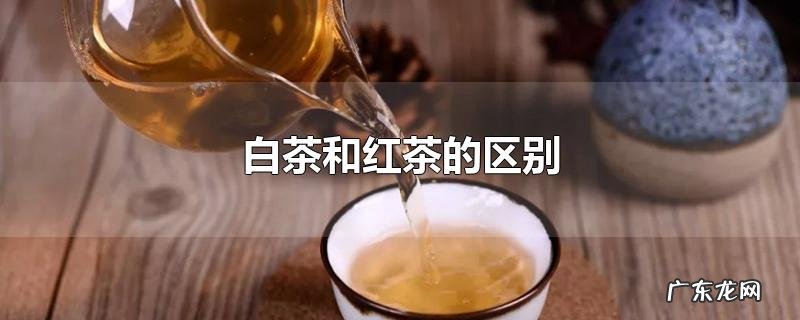 白茶和红茶的区别