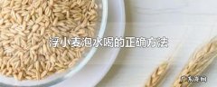 浮小麦泡水喝的正确方法