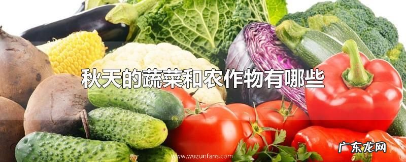 秋天的蔬菜和农作物有哪些