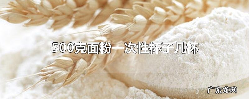 500克面粉一次性杯子几杯